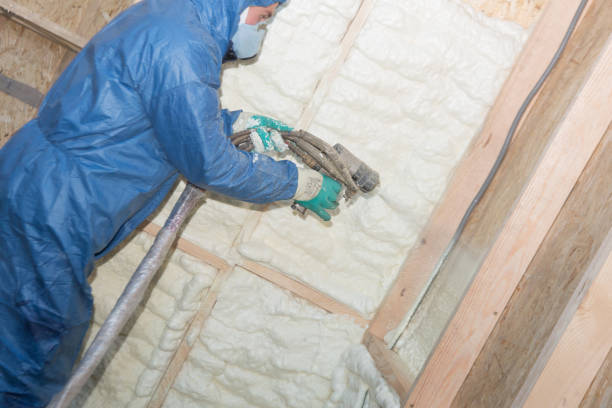 Best Insulation for Existing Homes  in Cana, VA